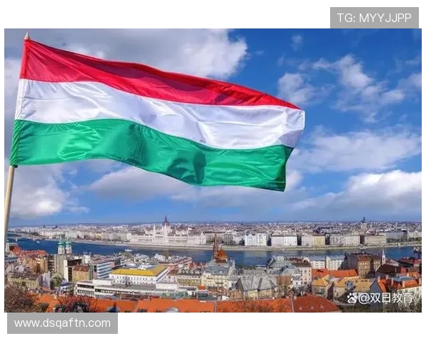 匈牙利球迷红白绿三色助威 本届赛事主场氛围持续升温